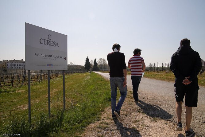 Vineyard Tour and Tasting of Lugana Wines - Participant Guidelines and Policies
