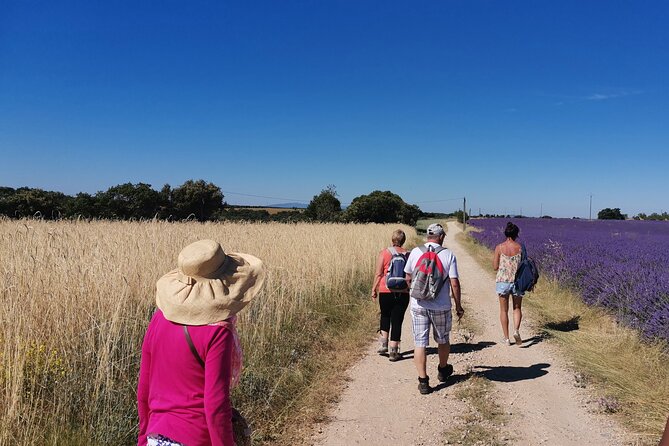 Visit a Lavender Fields Farm and Enjoy a Yoga Class in Provence - Booking and Cancellation Policy