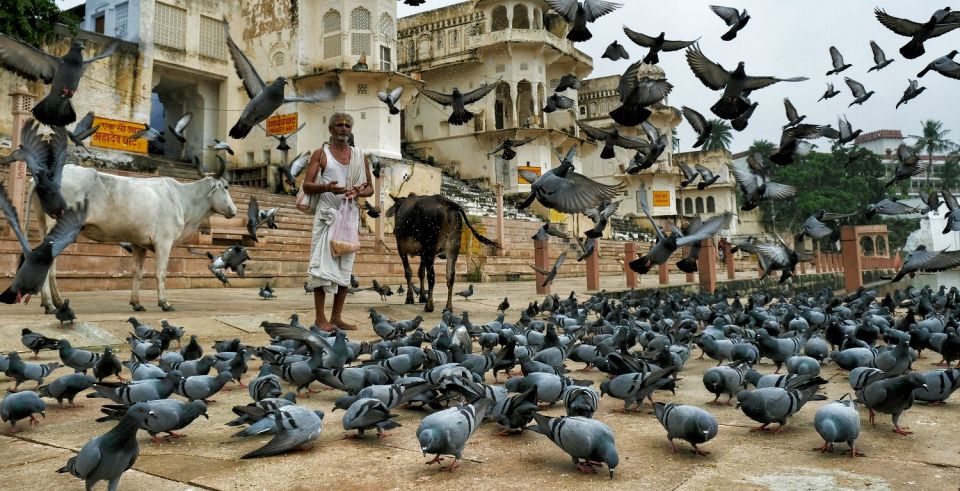 Visit Pushkar With Jaipur Drop From Bikaner - Inclusions in the Tour Package