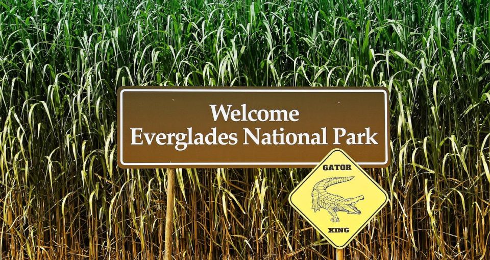 Visit to the Everglades From Miami Airboat - Transportation Details