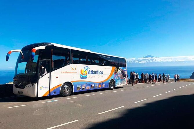 Volcano Teide National Park Guided Tour From Puerto De La Cruz - Tenerife North - Reviews and Pricing