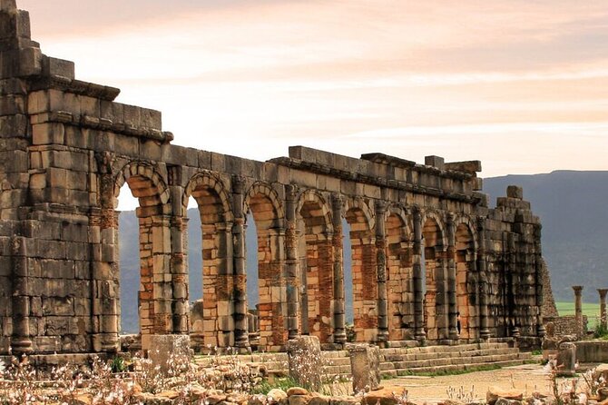 Volubilis, Moulay Idriss and Meknes Day Trip From Fes - Practical Information and Tips