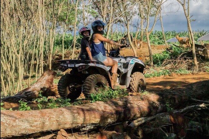 Waialua Small-Group ATV Farm Excursion (Mar ) - General Information and Host Feedback