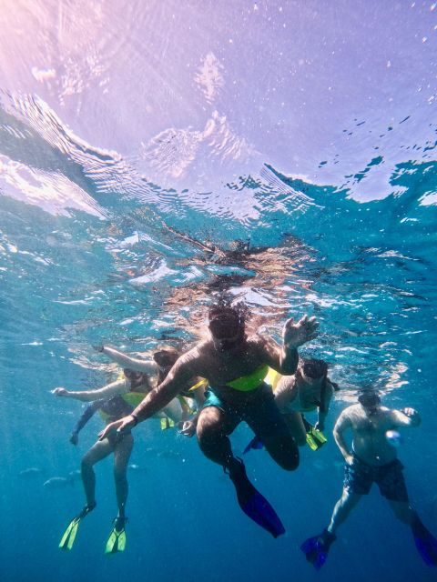 Waikiki: Ocean Rafting & Turtle Snorkel (Small-group) - Logistical Information and Swimwear