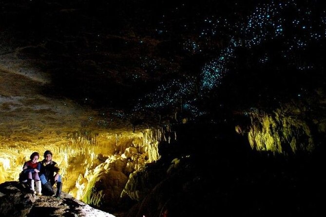 Waitomo Glowworm Caves and Auckland City Tour a Day Trip - Pricing Details