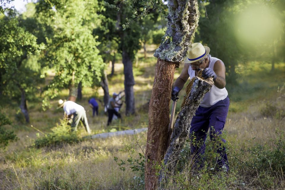 Walk on the Alentejo Cork Forest With Optional Lunch - Common questions