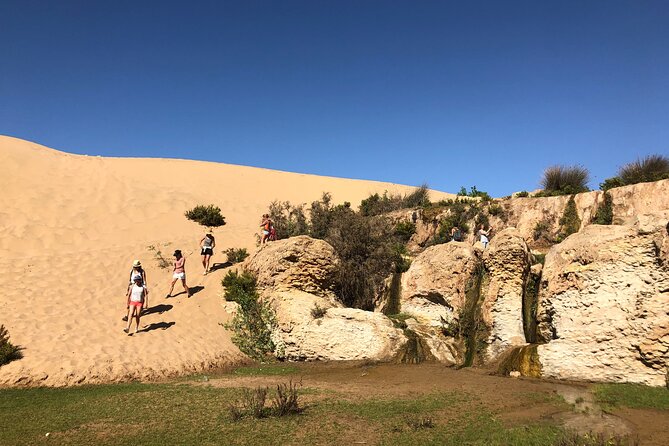 Walk to the Cascade and Marabout of Sidi Mbark & for a Tea to Kaouki - Last Words