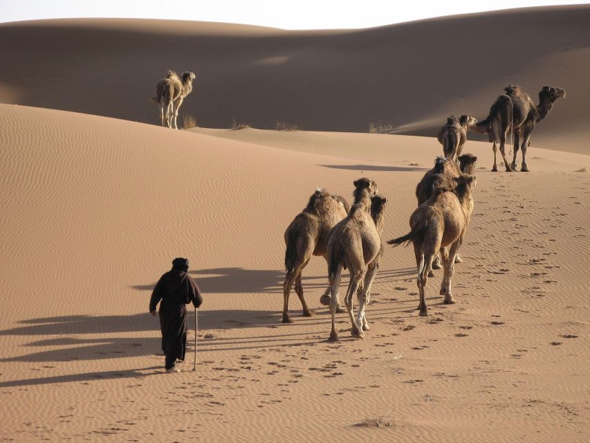 Walk Trek 8 Day From Marrakech to Erg Chegaga Camel Trekking - Directions