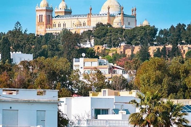 Walking Tour in Carthage - Inclusions: Tour Guide and Transportation