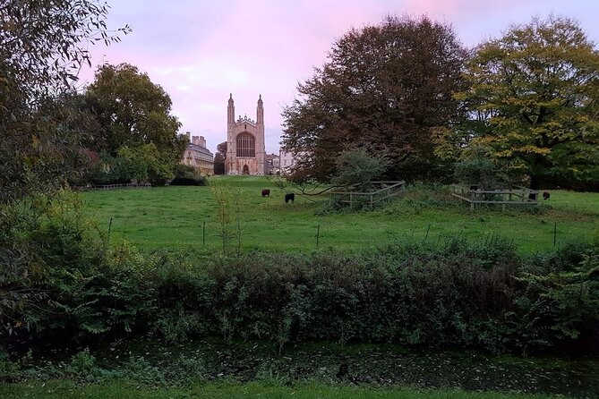 Walking Tour of the Sights and Highlights of Cambridge - Recommendations for Tourists