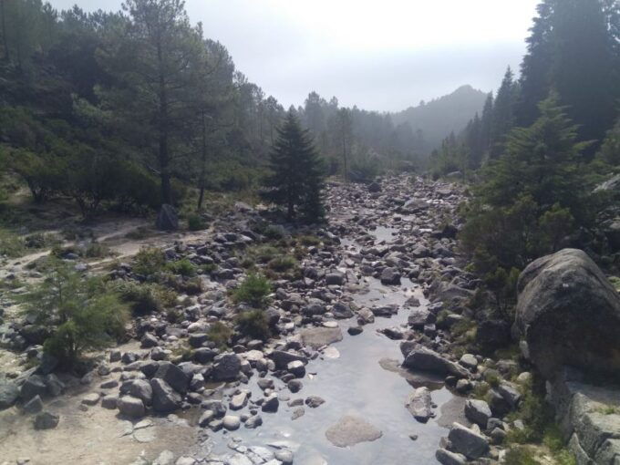 Waterfalls, Heritage and Nature in Gerês Park - From Porto - Practical Information and Booking Details