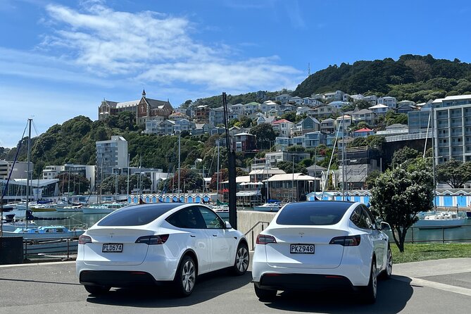 Wellington Private Tandem Tesla Tour - Safety Measures