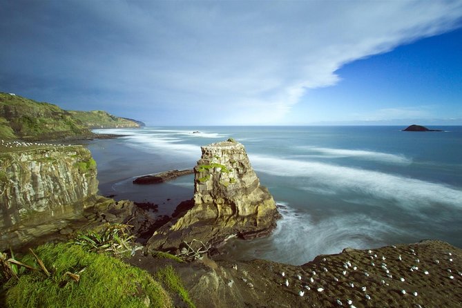 West Coast Discovery - Piha Beach or Muriwai Beach From Auckland - Common questions