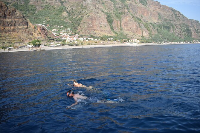 Whale and Dolphin Watching Tour in Madeira - Directions and Recommendations