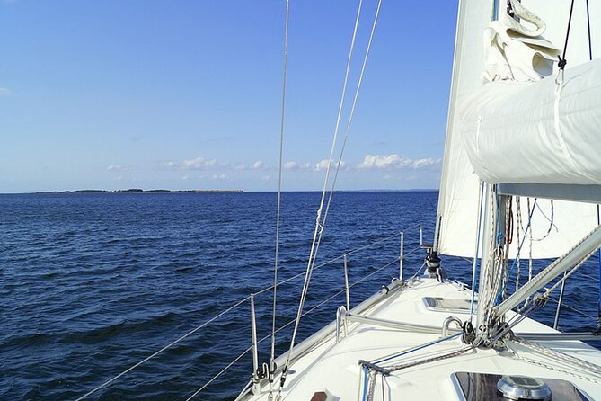 Whale & Dolphin Watching Boat Trip in Tenerife On a Sailing Boat (3 Hr) - Common questions