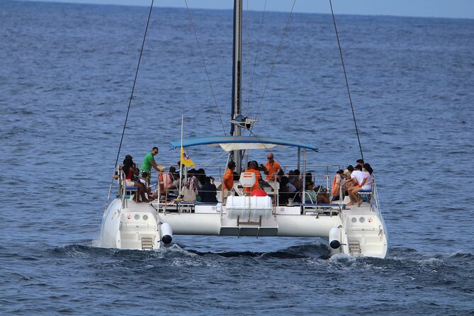 Whale & Dolphin Watching With Mustcat Virgin Coast Trip On a Large Catamaran - Sample Review and Help Center