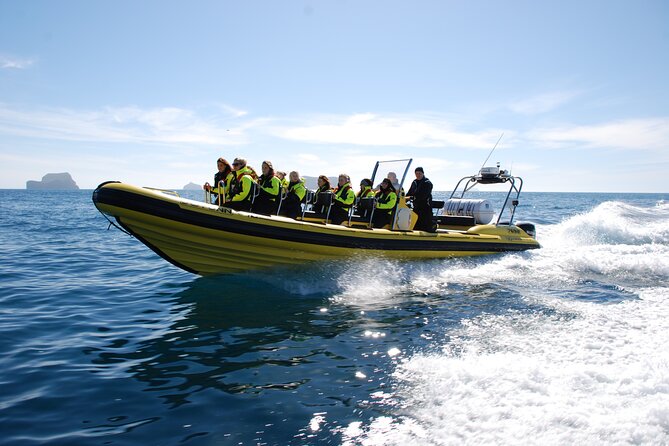 Whale Watching by RIB Speedboat From Downtown Reykjavik - Additional Information