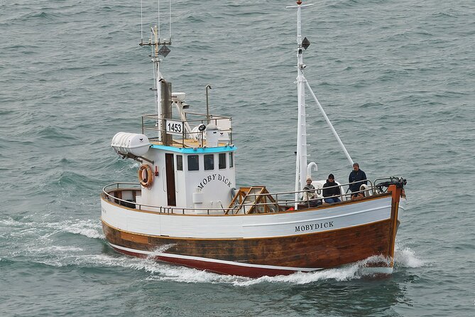 Whale Watching in Húsavík With Friends of Moby Dick - What to Wear