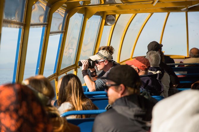 Whale-Watching Tour From Vancouver - Customer Satisfaction and Refunds