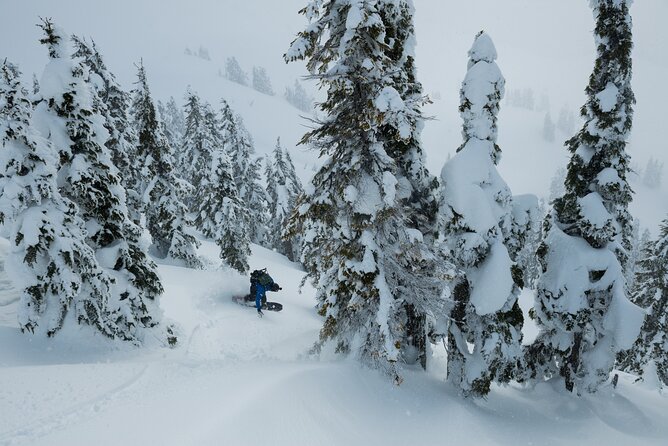 Whistler Backcountry Skiing and Splitboarding - Safety Measures