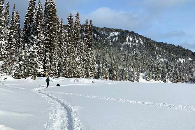 Whistler Lost Lake Snowshoeing and Village Tour - Safety Guidelines