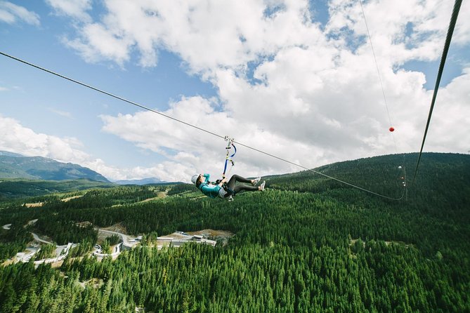 Whistler Sasquatch Zipline - Reviews and Pricing Information