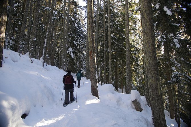 Whistler Small-Group Full-Day Snowshoe Tour - Cancellation and Refund Policy