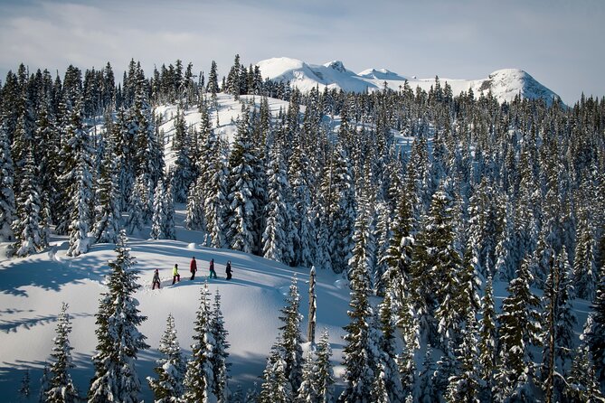 Whistler Snowshoeing Adventure - Inclusions and Logistics