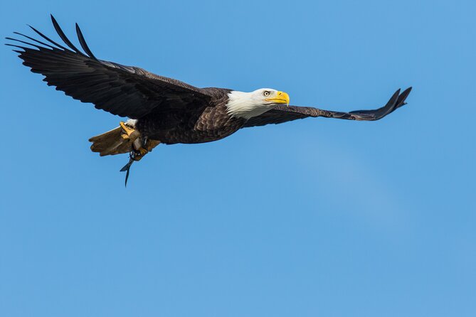 Wildlife on the Bow Big Canoe Tour in Banff National Park - Sustainable Tourism Practices