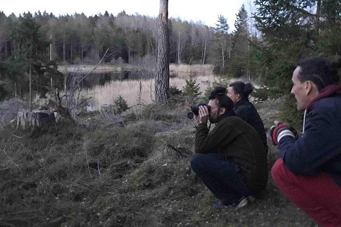 Wildlife Safari Small-Group in Stockholm - Accessibility Information