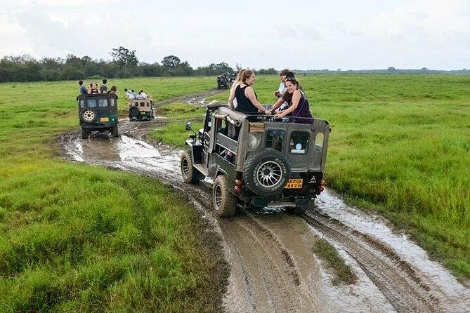 Wilpattu National Park Jeep Safari From Negombo / Waikkal (All Inclusive) - Entrance Fees and Gratuities