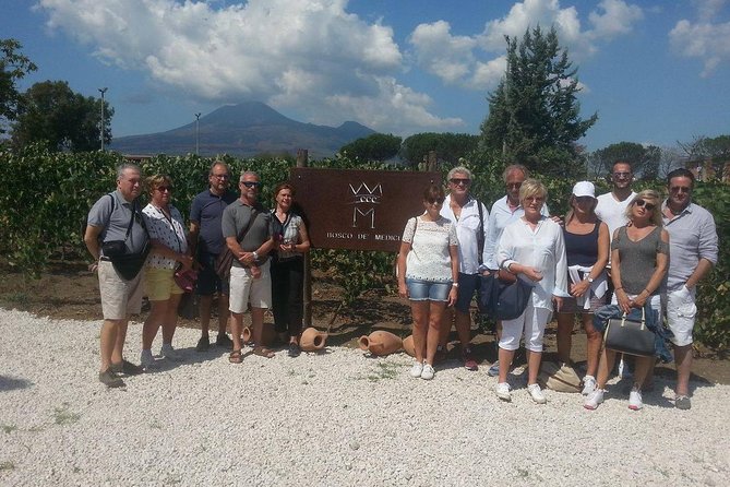 Wine Tasting and Excursion to the Mt. Vesuvius From Pompeii - Last Words
