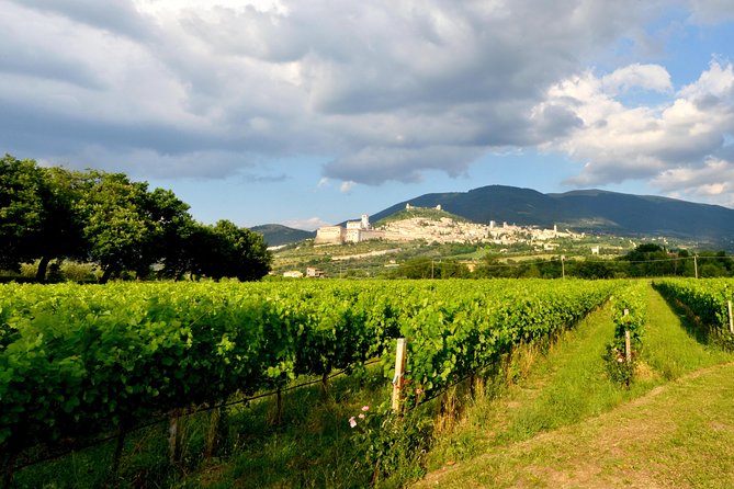 Wine Tasting and Walk in the Vineyard of Assisi - Directions