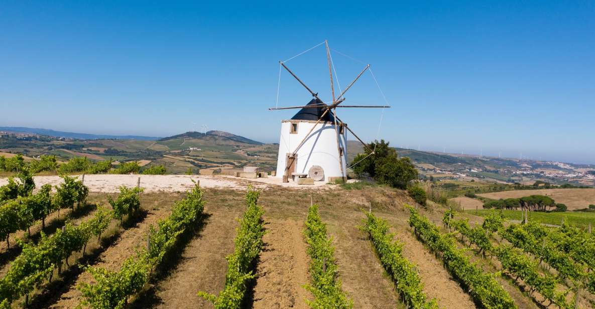 Wine Tour From Lisbon With Tastings & Winemaker for a Day - Inclusions in the Wine Tour Package