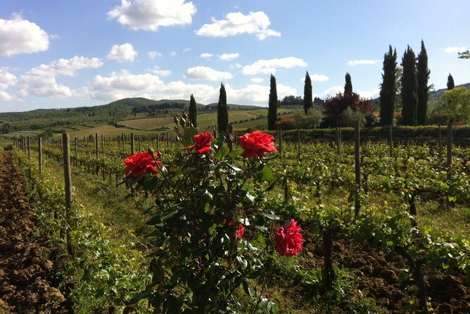 Wineries Tour and Wine Tastings in Chianti Hills From Florence - Tour Highlights