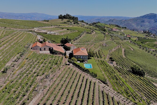 Winery Tour and Wine Tasting Quinta Da Portela De Baixo in Lamego - Cancellation Policy