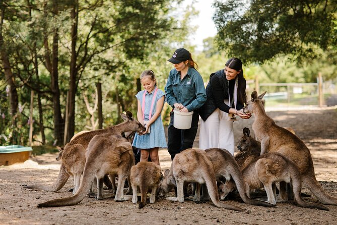 Wings Wildlife Park Shuttle, Burnie Shore Excursion - Cancellation Policy