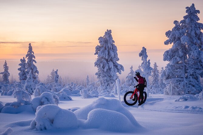 Winter Afternoon Group Ride in Saariselkä - Post-Ride Relaxation and Refreshments
