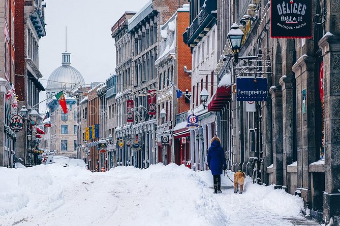 Winter Walking Tour of Old Montreal by MTL Detours - Tour Highlights