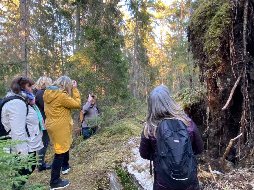 Wolf and Wildlife Tracking in Sweden - Unforgettable Adventure