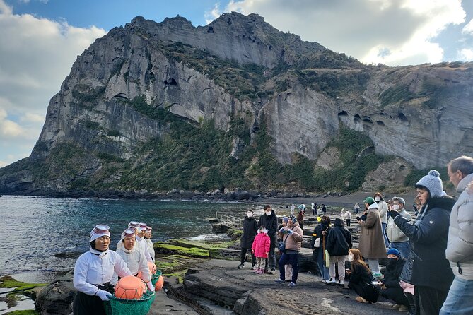 World Natural Heritage East Tour in Jeju (Cherry Blossoms Tour) ) - Booking Information