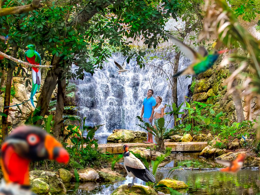 Xcaret Park: Full-Day Ticket With Night Show - Accessibility Features and Amenities