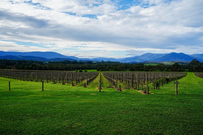 Yarra Valley Private Car Winery Tour And Chocolate.1-7 Passengers One Car Price - Cancellation Policy