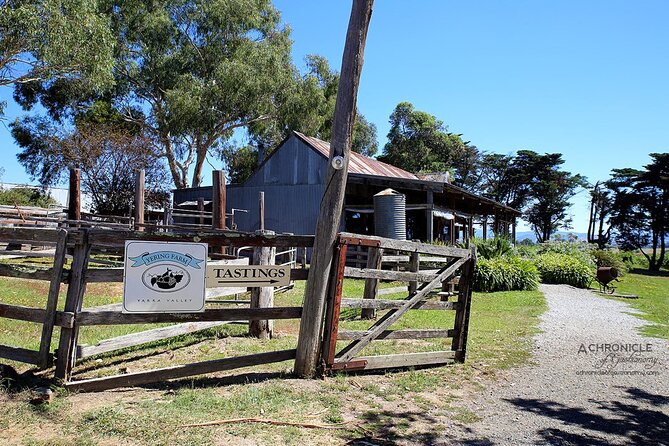 Yarra Valley Smaller Wineries Food and Wine Tour - Common questions