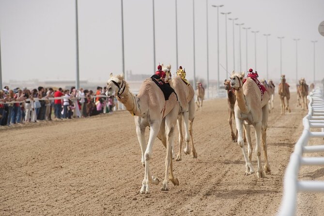 Zekreet Rock Formation, Richard Serra Tour & Camel Race Tour - Review Insights and Ratings Breakdown