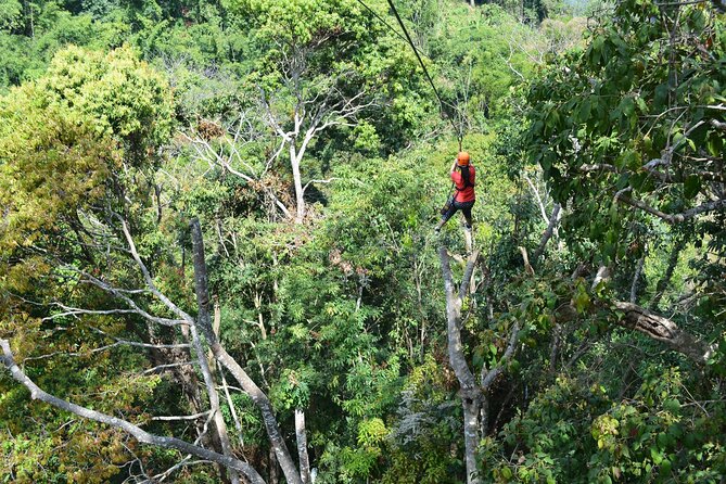 Zipline Adventure at Skyline Jungle Luge Chiang Mai - Common questions