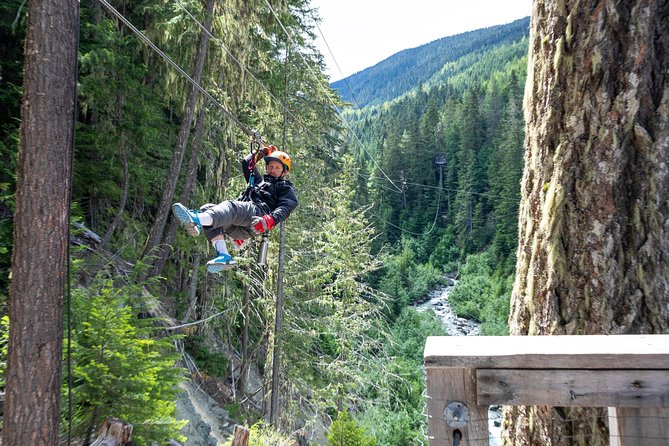 Zipline Adventure in Whistler - Common questions