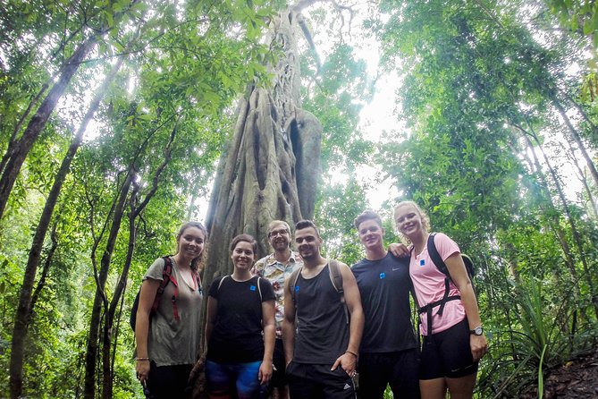 6-Hour Doi Pui Summit Hike in Doi Suthep National Park From Chiang Mai - Key Points