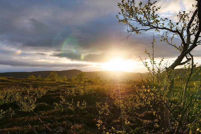 6-Hour Efatbiking in Taiga Forest - Key Points