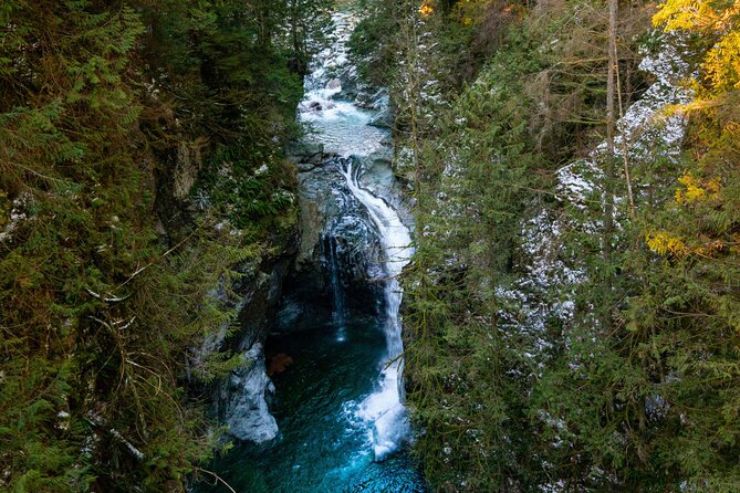 6-Hour Private Tour in Lynn Canyon and Deep Cove With Pickup - Key Points